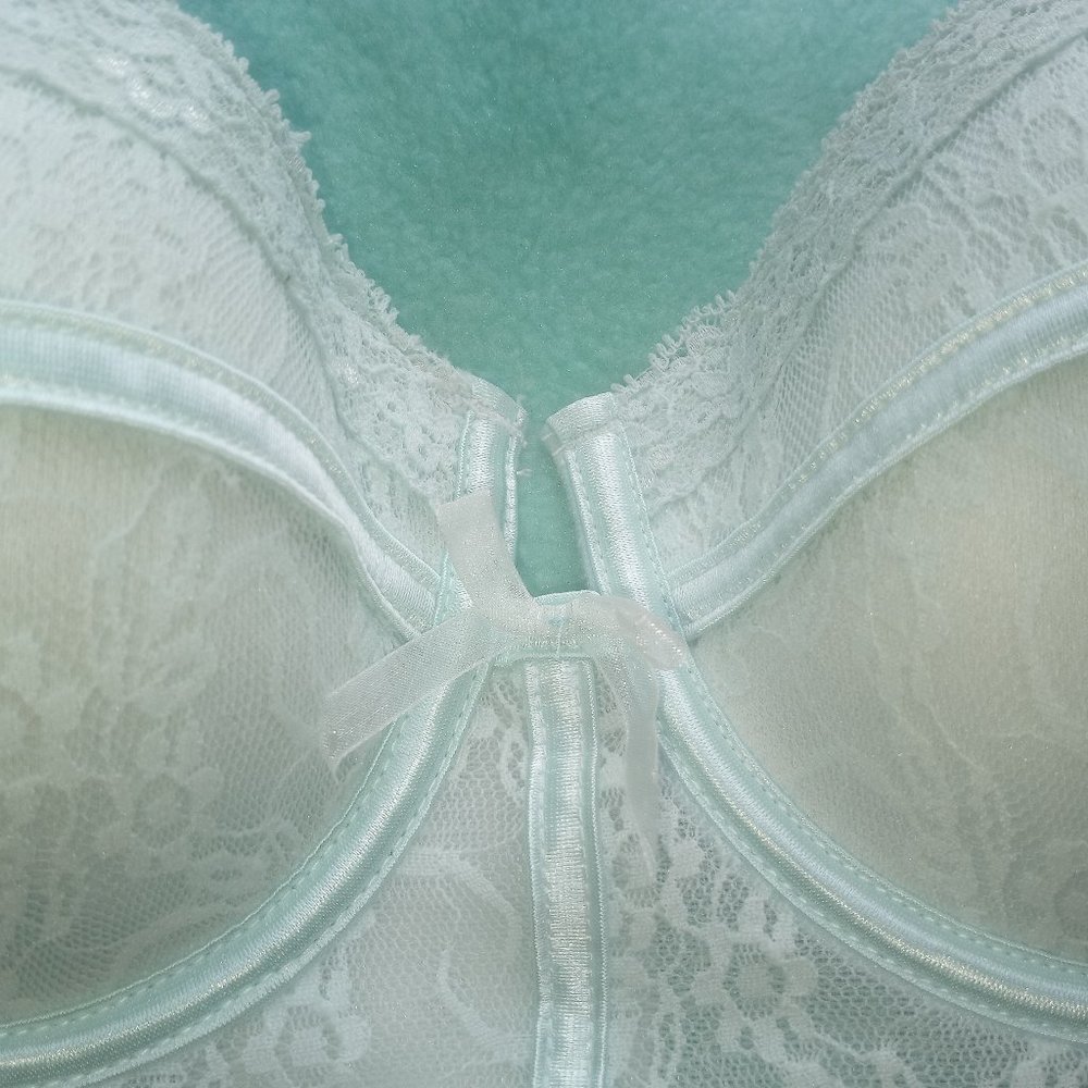 Ambrielle Corset w/bra